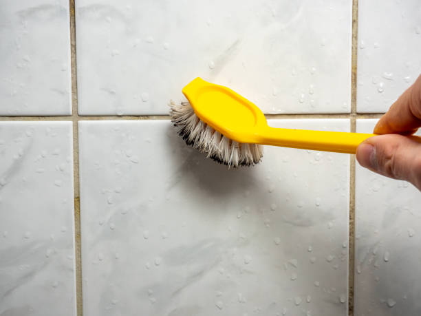 Best Professional Mold Removal  in Thatcher, UT