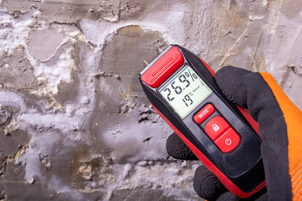 Best Water Damage Restoration  in Thatcher, UT